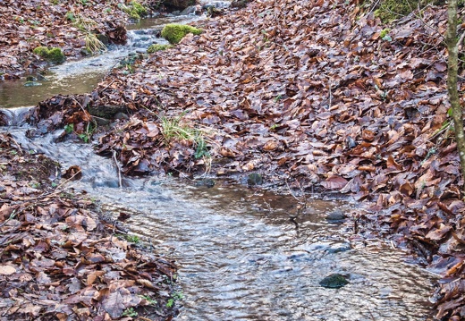 20220205202149-0ce24e3d